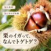 栗のイガって、なんでトゲトゲ？🌰【観音寺市＊食品卸業＊業務用食品】