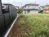 「【柏市】伸びた猫じゃらしもすっきり草刈り！粒状除草剤の散布まで丁寧にお手入れしました✨」