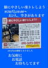 「9月28日（月）開催 まちゼミ「膝にやさしい楽トレ」お2人分の空き枠をご案内｜参加無料で楽しむ有酸素運動」