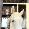 ひょっこり顔を出してご挨拶♪ 秋風を感じるキャッツ号のリラックスタイム