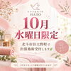 「北斗市旧大野地区で出張整体・カイロ｜エステ＆カイロHATOが10月水曜夜限定で試験スタート」