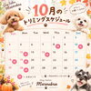 🎃10月のトリミングスケジュール🎃