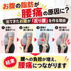 お腹の脂肪が腰痛の原因に？出てきたお腹が「反り腰」を作る理由/新潟市東区 整体