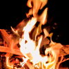 波音を聴きながら火を囲む贅沢 海辺で楽しむ特別な焚き火時間🔥🌊