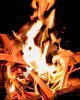 「波音を聴きながら火を囲む贅沢 海辺で楽しむ特別な焚き火時間🔥🌊」