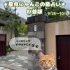 🌟 杉並区版☆12星座占い 🌟まいぷれ☆星見にゃんこ 🌟9/28〜10/4