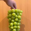 本日限定入荷！市川市産の新鮮な大粒シャインマスカットをご用意しました