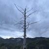 知らない世界に出会う、長野の旅