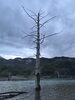 「知らない世界に出会う、長野の旅」