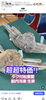 船内冷凍 タグ付松葉蟹 生姿「超超特価‼️ ＼＼ 船内冷凍 タグ付松葉がに 生姿🦀  ／／」