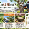 🌳 第1回｜庭木の伐採とは？剪定との違いと伐採を考えるタイミング