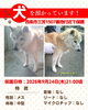 「【西条市三芳1507番地付近】迷い犬を保護しています！（※せとうちバス／三芳南条停留所近辺）」