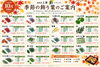 「10月の季節の飾り葉をご紹介します🍁【観音寺市＊食品卸業＊業務用食品】」