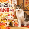 9月29日は招き猫の日🐾前足を上げる猫ちゃんのしぐさに込められた気持ちとは？