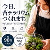 雨の休日、何する？ 今日9/29は駅直結で「苔テラリウムづくり」10％OFF【JR尼崎】