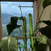 植物も元気に育つ心地よい空間🍃嬉しい「お客様の声」をご紹介します😊🐾