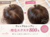 ウィッグも800本で復活！「愛用ウィッグのトップを自然に復元｜増毛エクステ800本のメンテナンス事例」