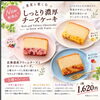 「✨ 新商品のお知らせ ✨」