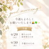 good morning✨今週もよろしくお願いいたします🙇🏻‍♀️🍀✨