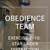 ＼OBEDIENCE(OB) TEAMやってみた🐶／