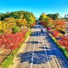 朝里峠・定山渓等、秋におすすめの小樽のドライブスポットと、ドライブを快適にするe-POWER車をご紹介🍁