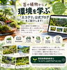 「苔や植物から環境を学ぶ「エコクリ」公式ブログをご紹介」