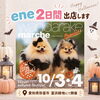 「10/3・4はわんだらけに出店します🐶」