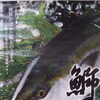 9月末で早生鰤王が終了！10月1日からは「鰤王」がスタート🐟✨