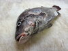 今が旬のセトダイ「瀬戸内海の恵み♪おすすめメニューに「セトダイ（タモリ）」が登場です！」
