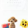 愛犬のお誕生日記念フォト♡ご家族と一緒に楽しく残すバースデー撮影レポ