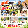 腰痛を放置して、やりたいことを諦めていませんか？/新潟市東区 整体