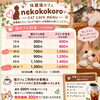 🐾 保護猫カフェ nekokokoroからお知らせ 🐾