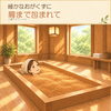 小樽イオンハウスです (2026/09/30)