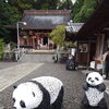 鉄筋パンダは飽波神社。鉄筋くまモンもいるよ！遊びに来て！