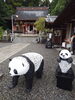 中国に行かなくてパンダは藤枝にいるよ！「鉄筋パンダは飽波神社。鉄筋くまモンもいるよ！遊びに来て！」