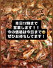 「【大切なお知らせ】10月1日より商品価格改定のご案内」