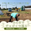 なんと社長もジャガイモ植えに参加！晴れてよかったですね☀️「9/25(金)のジャガイモ植え in 自社農園」