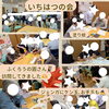 『レイデイ』いちはつの会訪問✨