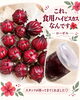 「スタッフ自慢！初めて知った食用ハイビスカス「ローゼル」の嬉しい出会いと猫HOUSEのご案内」