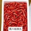 本日鮮魚入荷致しました。