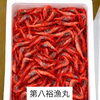 本日鮮魚入荷致しました。