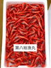南蛮エビ「本日鮮魚入荷致しました。」