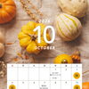 10月のイベントカレンダー♪親子で楽しく交流しませんか？🍁