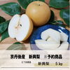 「秋の味覚をたっぷりお届け！京丹後産の日下部農園の新興梨をご予約受付中🍐」