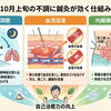 【秋バテ・頭痛・胃もたれに】10月上旬の不調は「寒暖差」が原因？鍼灸で体を整えましょう！