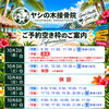 🏝️ヤシの木接骨院の直近の空き枠🏝️
