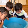 生き物触れ合い教室🦀