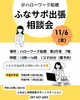 「11/6(金) ハローワーク船橋で出張相談会を開催します！」