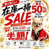10月限定！眼鏡在庫一掃SALE開催👓 1DAYコンタクトもお得｜シティコンタクト佐賀店