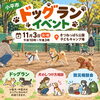 「【小平市】11月3日、きつねっぱら公園でドッグランイベント開催」